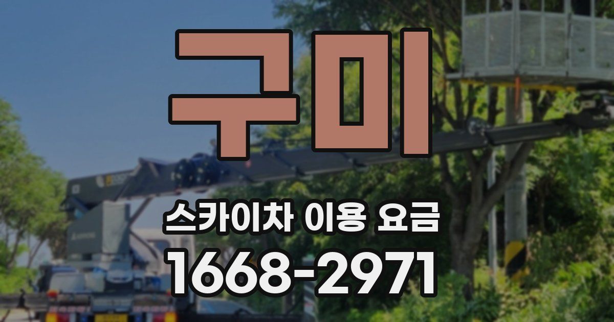 구미 스카이차 이용 요금