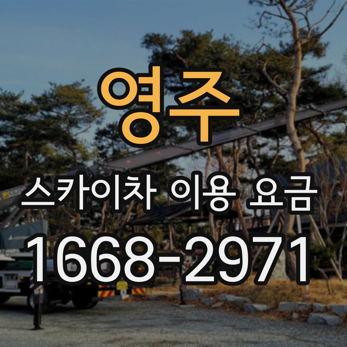 영주 스카이차 이용 요금