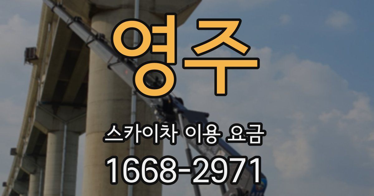 영주 스카이차 이용 요금
