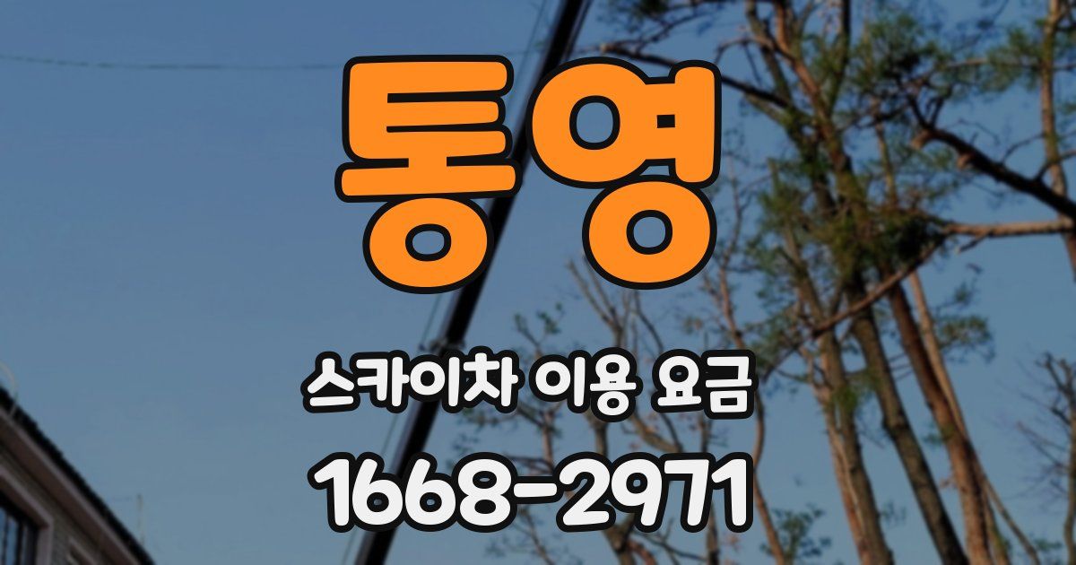 통영 스카이차 이용 요금