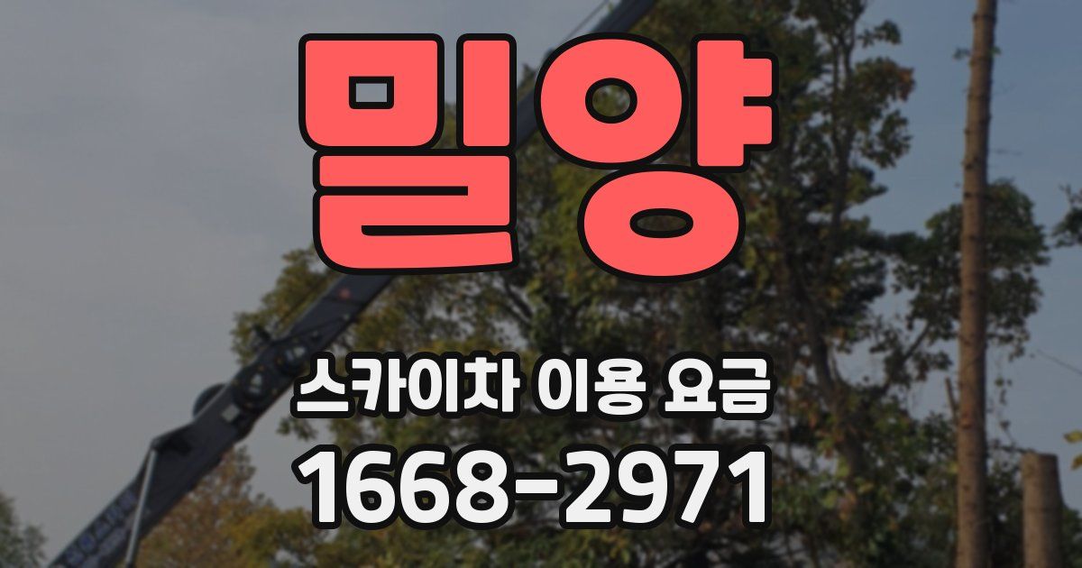 밀양 스카이차 이용 요금