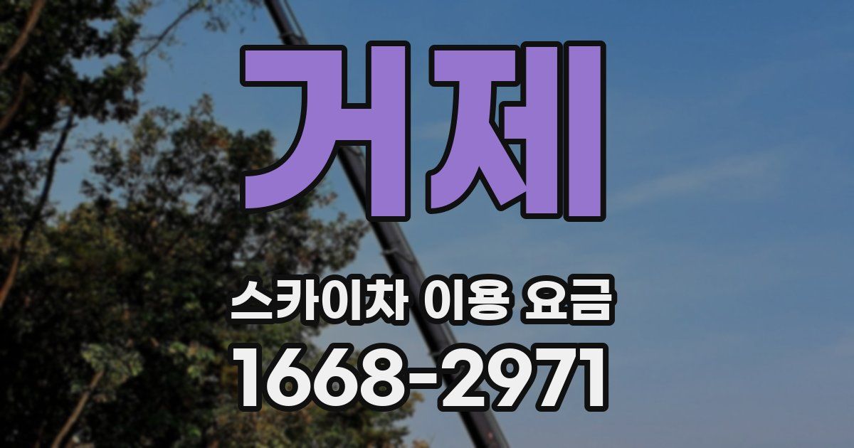 거제 스카이차 이용 요금