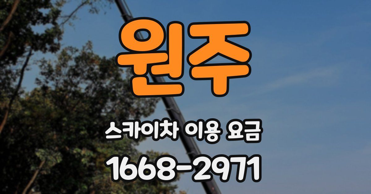 원주 스카이차 이용 요금