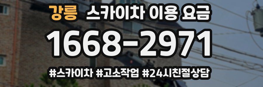 강릉 스카이차 이용 요금