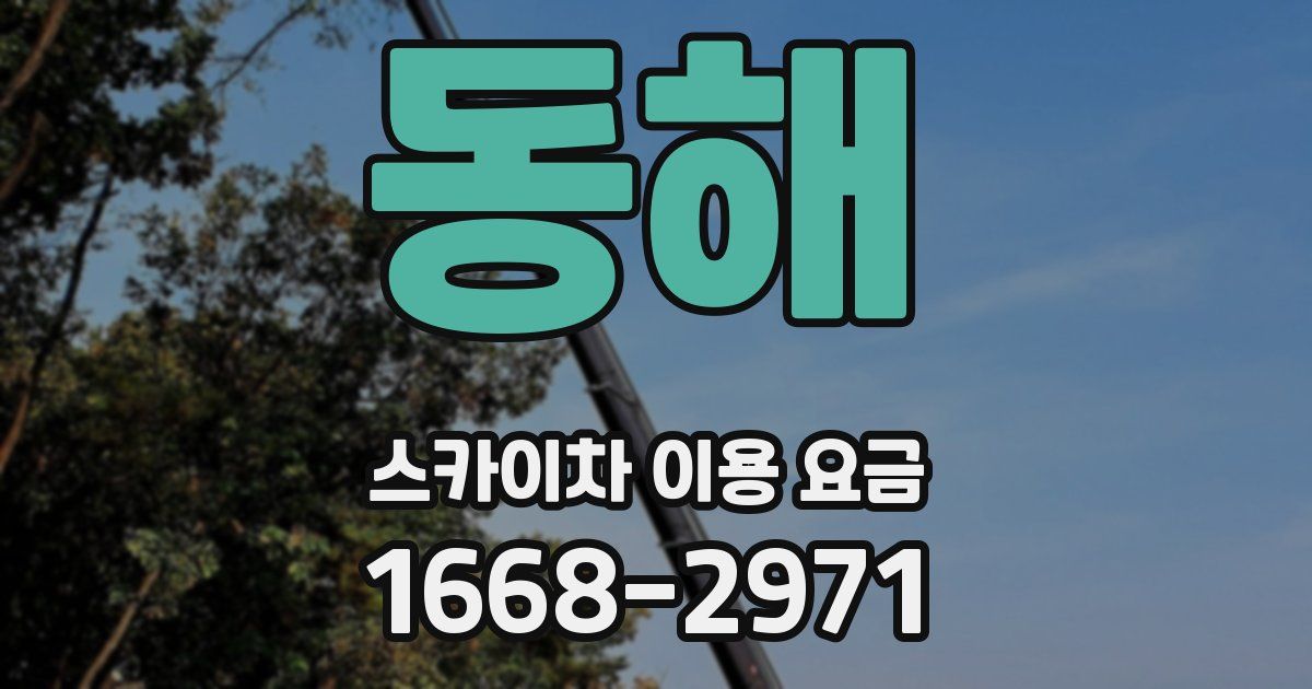 동해 스카이차 이용 요금