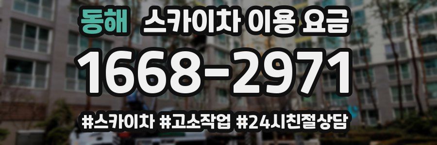 동해 스카이차 이용 요금