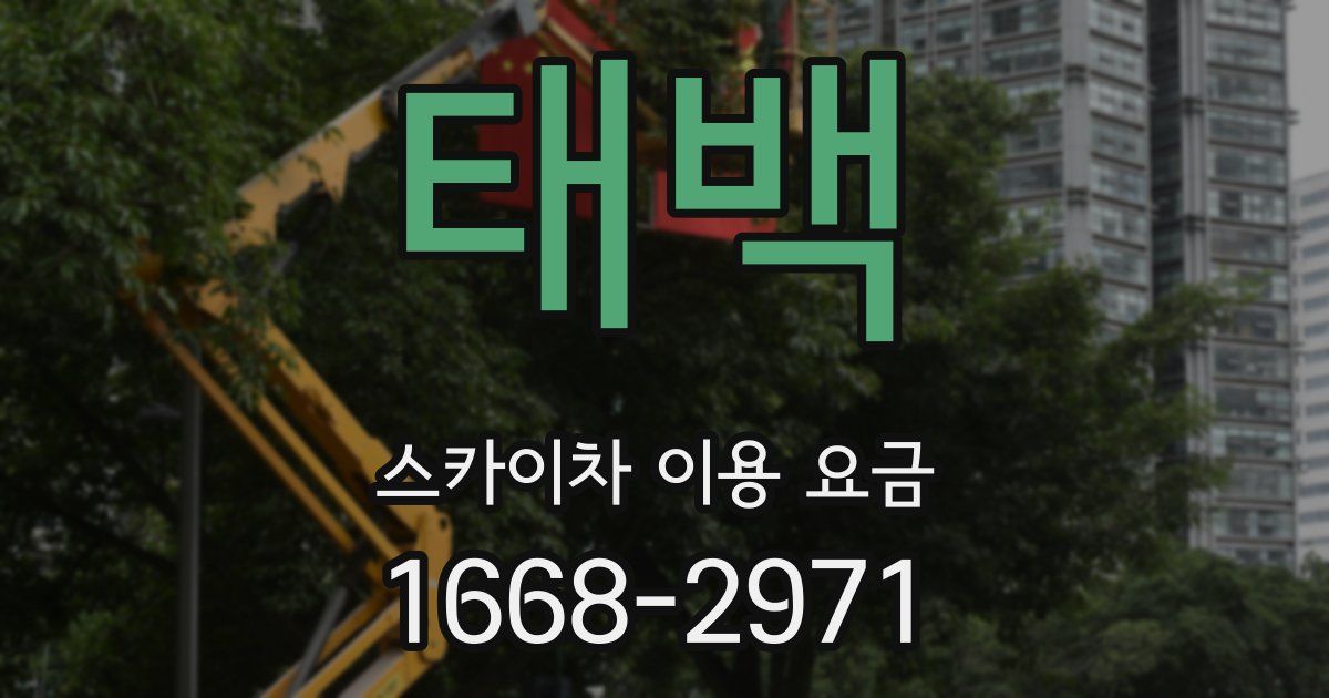 태백 스카이차 이용 요금