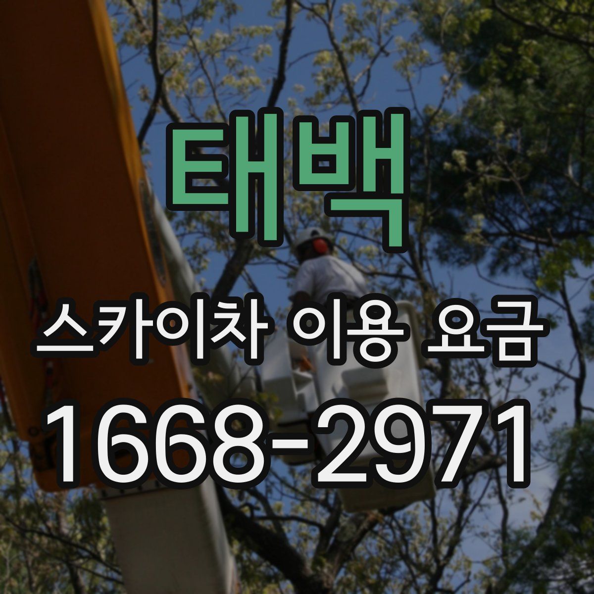 태백 스카이차 이용 요금