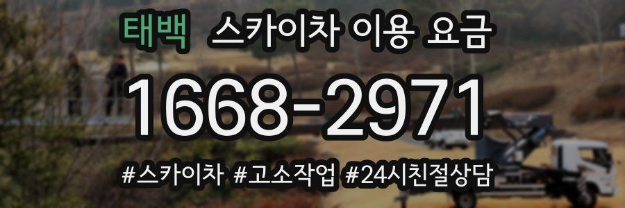 태백 스카이차 이용 요금