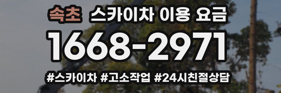속초 스카이차 이용 요금