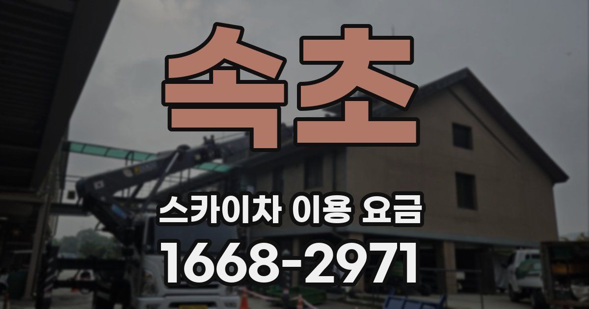 속초 스카이차 이용 요금