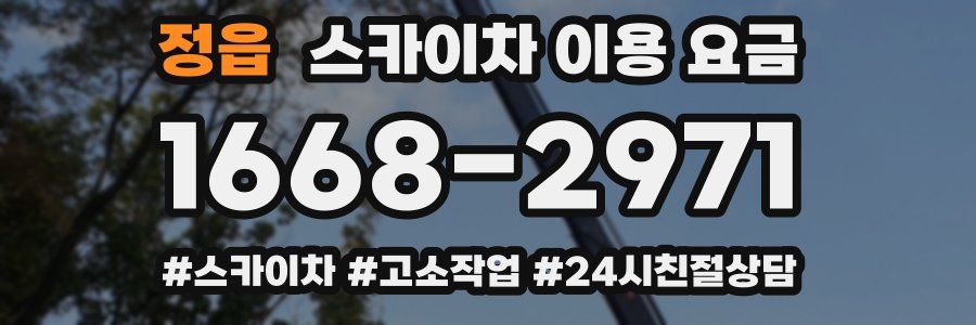 정읍 스카이차 이용 요금