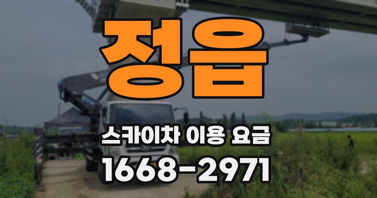 정읍 스카이차 이용 요금