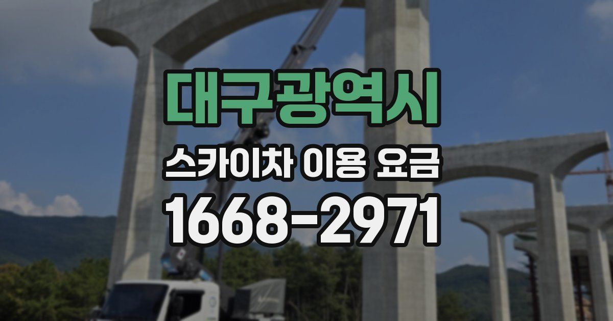 대구광역시 스카이차 이용 요금
