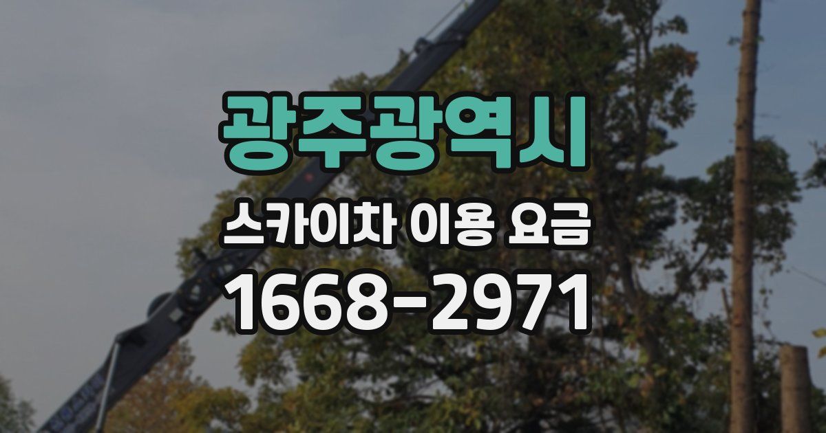 광주광역시 스카이차 이용 요금
