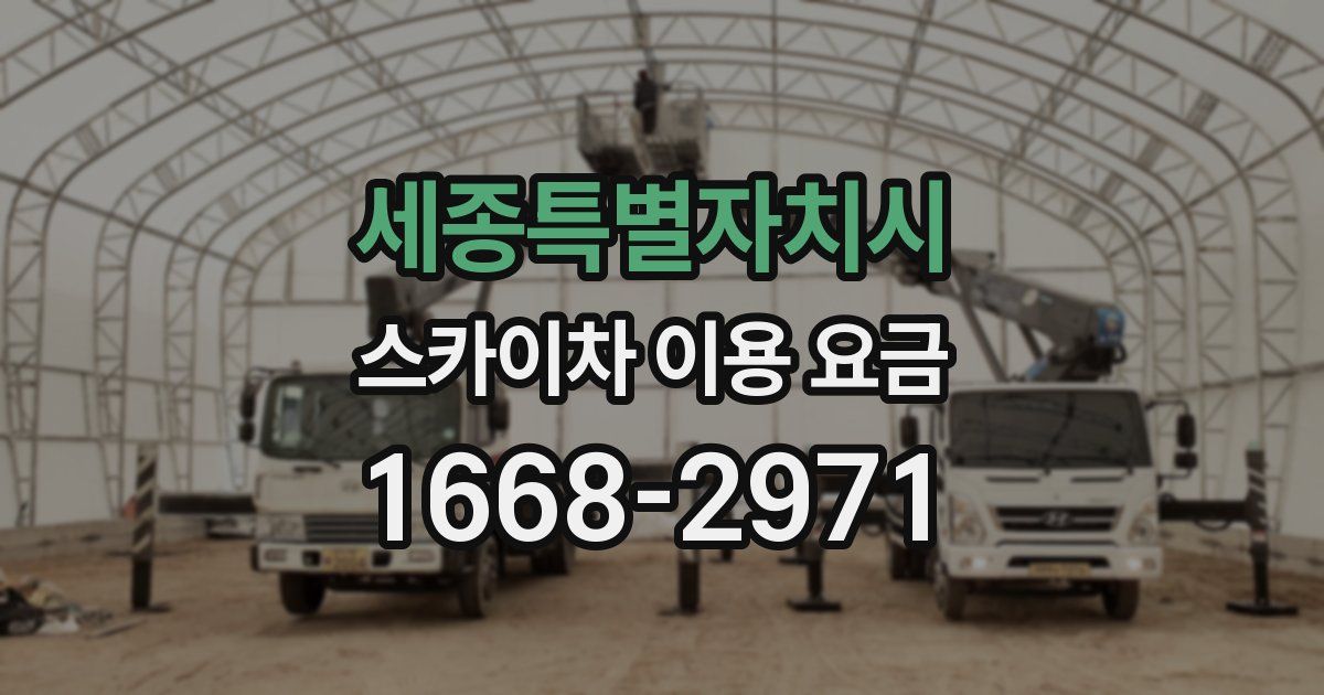 세종특별자치시 스카이차 이용 요금