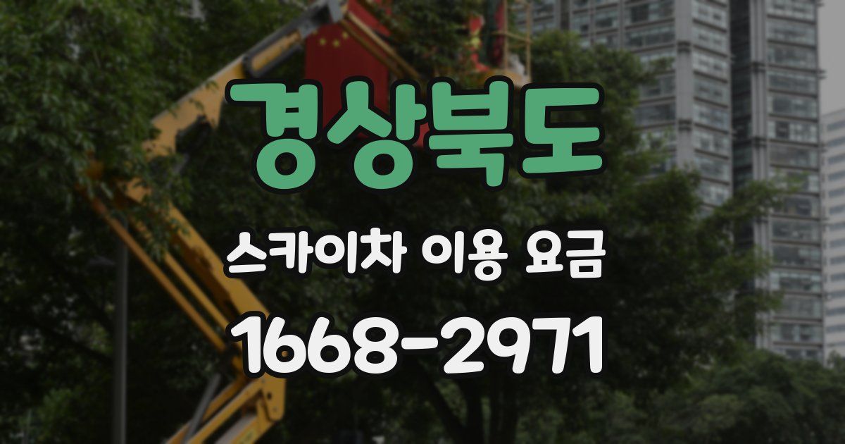 경상북도 스카이차 이용 요금