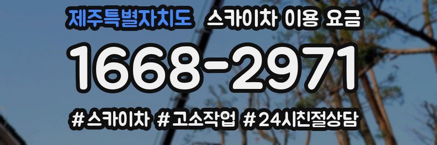 제주특별자치도 스카이차 이용 요금