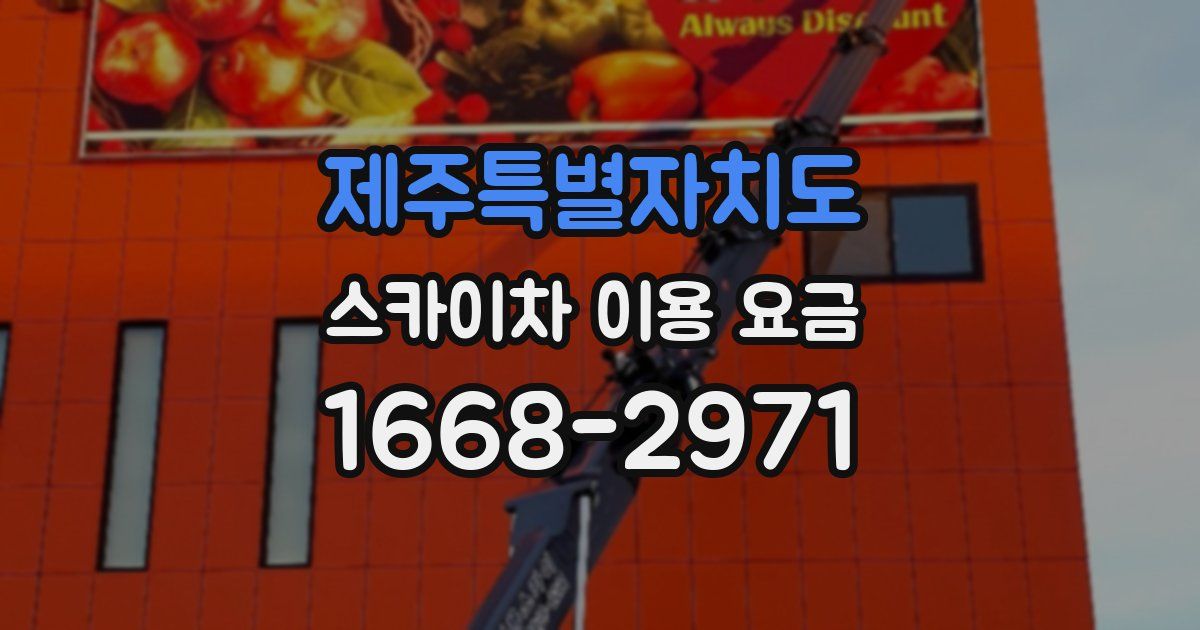 제주특별자치도 스카이차 이용 요금