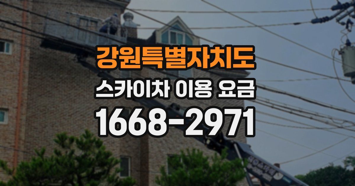 강원특별자치도 스카이차 이용 요금