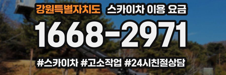 강원특별자치도 스카이차 이용 요금
