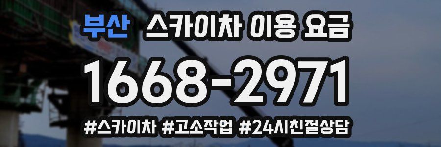 부산 스카이차 이용 요금
