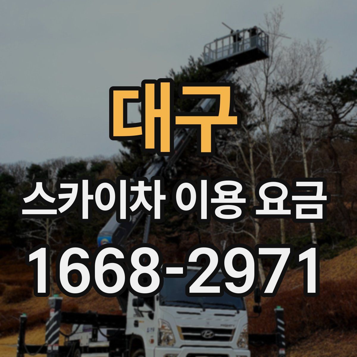 대구 스카이차 이용 요금