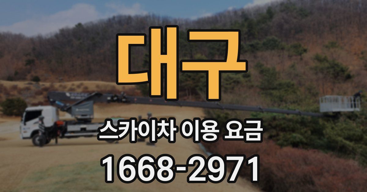 대구 스카이차 이용 요금