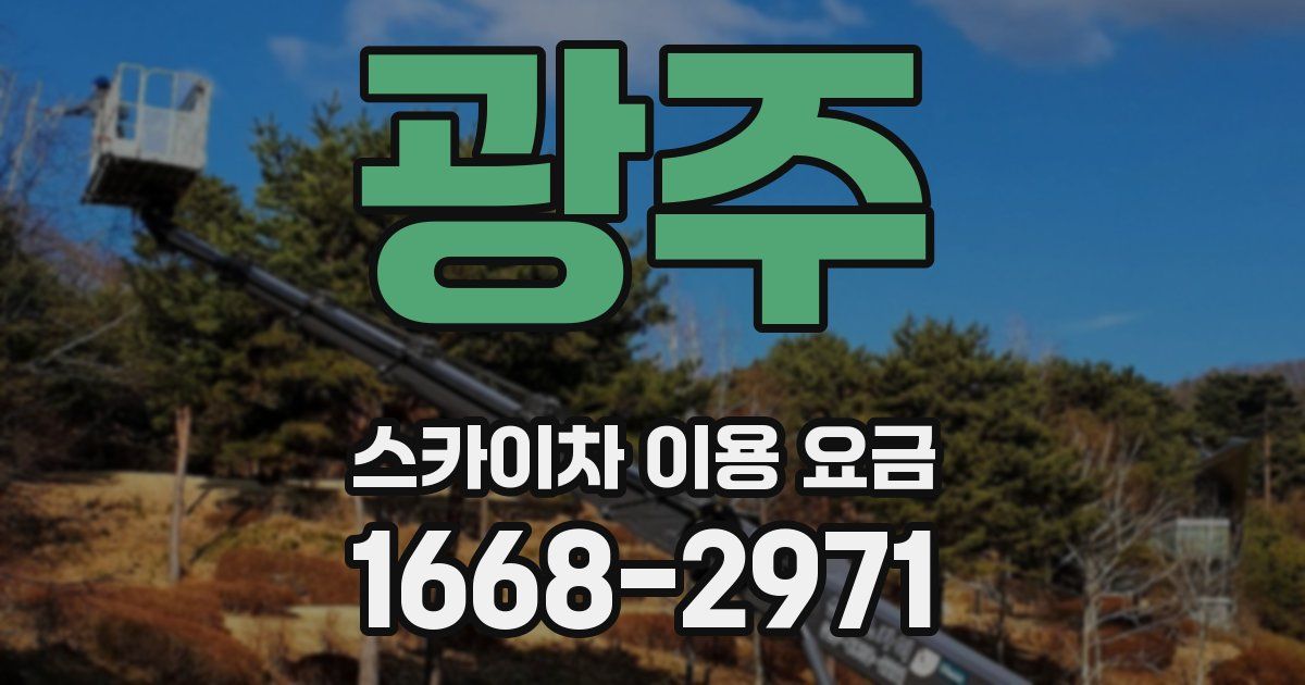 광주 스카이차 이용 요금