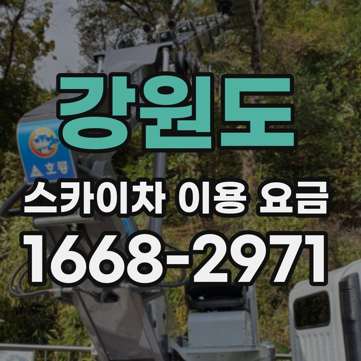 강원도 스카이차 이용 요금