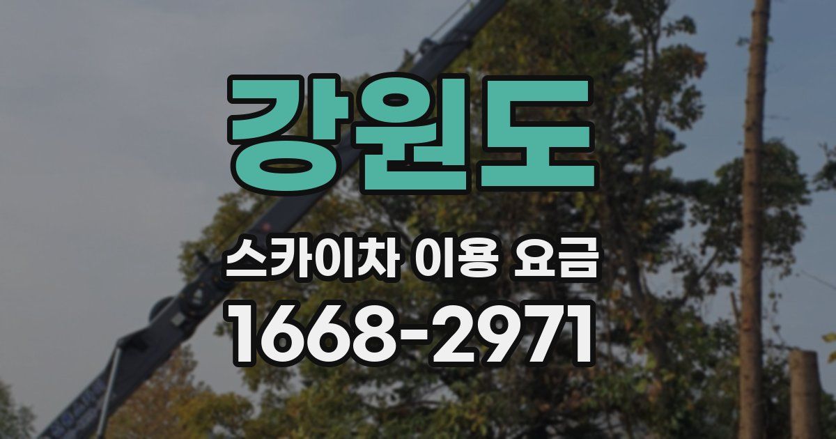 강원도 스카이차 이용 요금