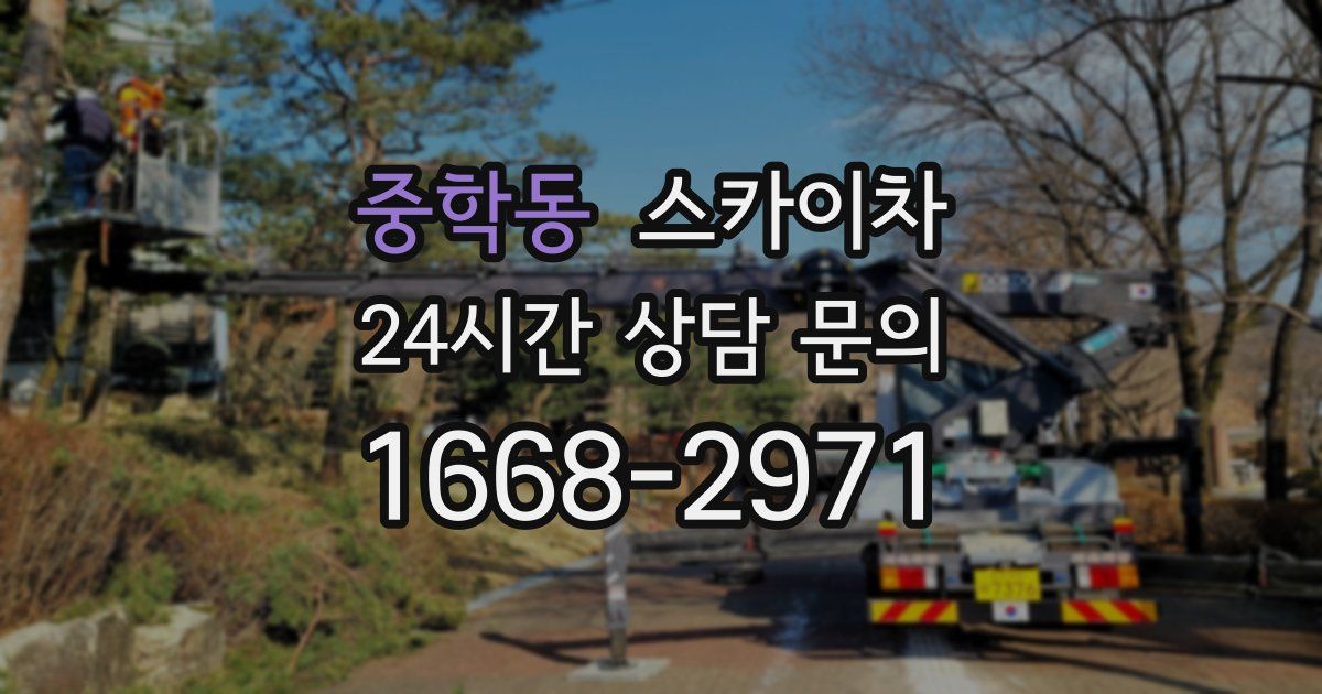 중학동 스카이차
