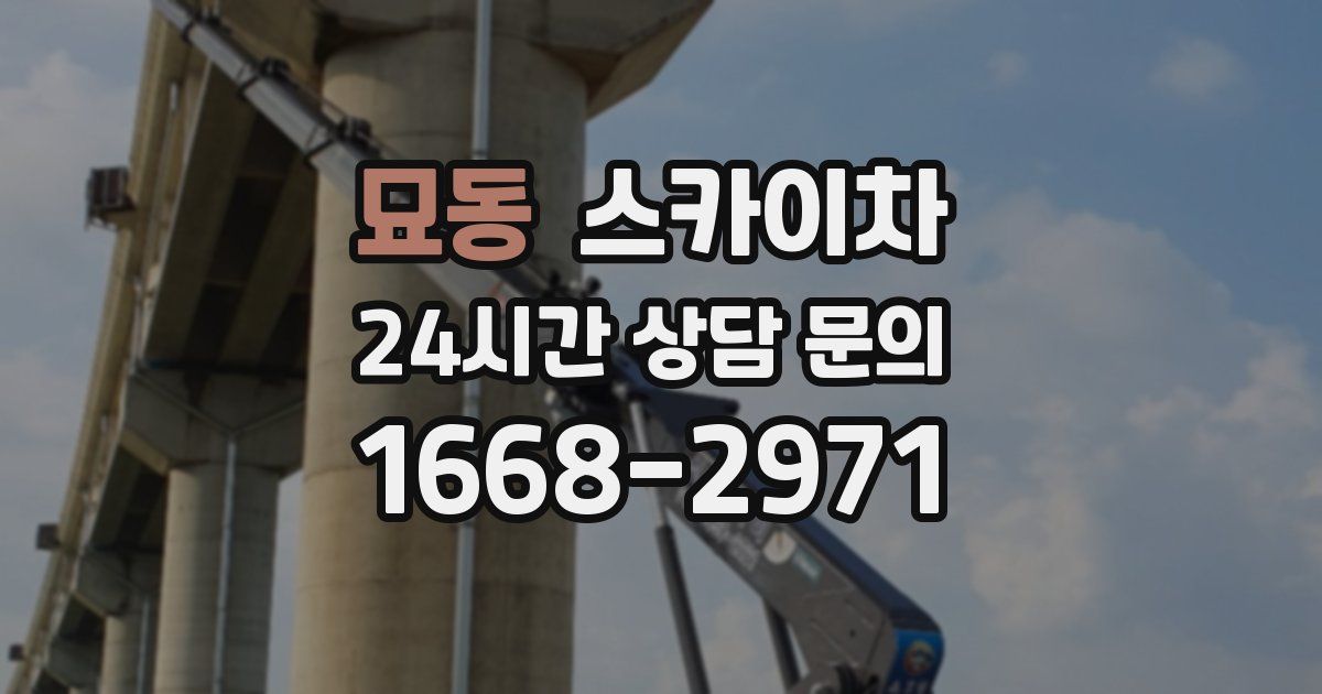 묘동 스카이차