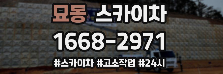묘동 스카이차