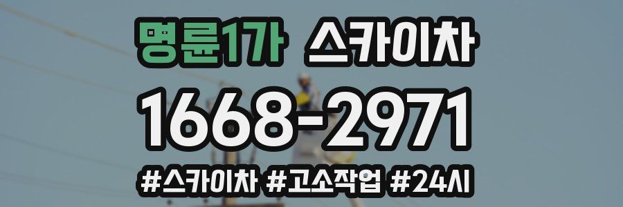 명륜1가 스카이차