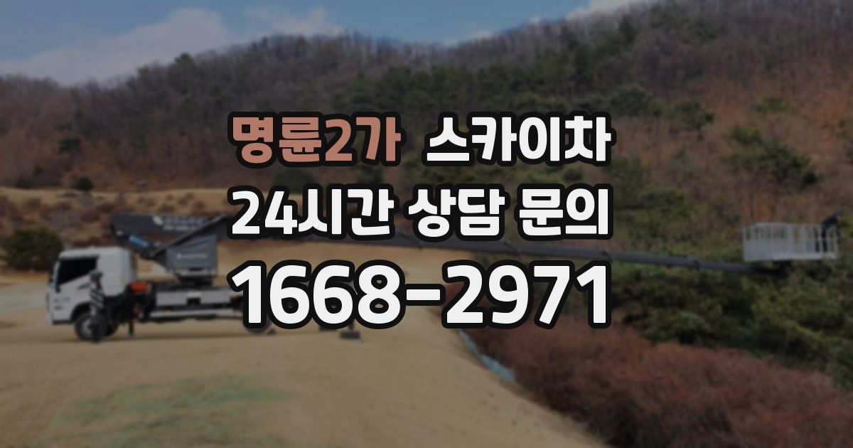 명륜2가 스카이차