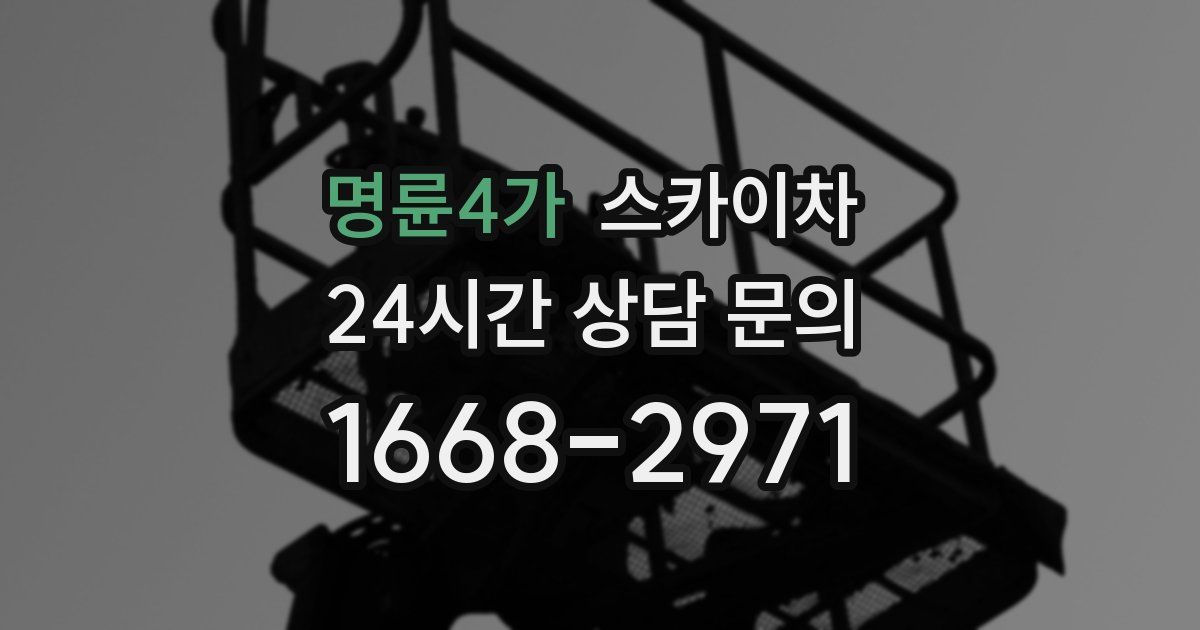 명륜4가 스카이차
