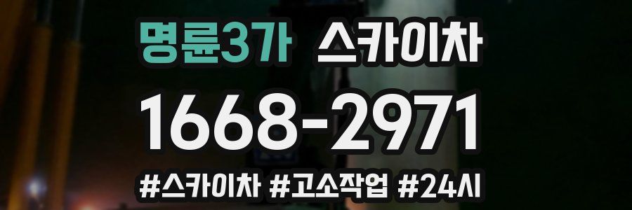 명륜3가 스카이차