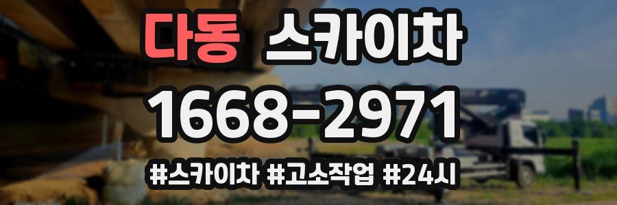 다동 스카이차