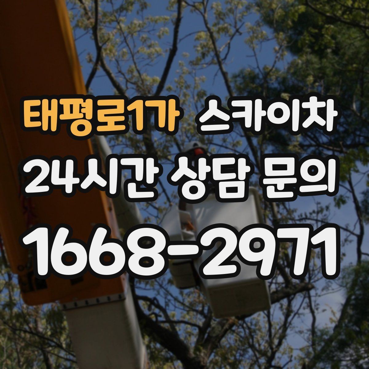 태평로1가 스카이차 정기 점검으로 고소 작업을 줄이는 방법
