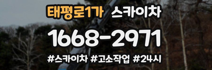 태평로1가 스카이차