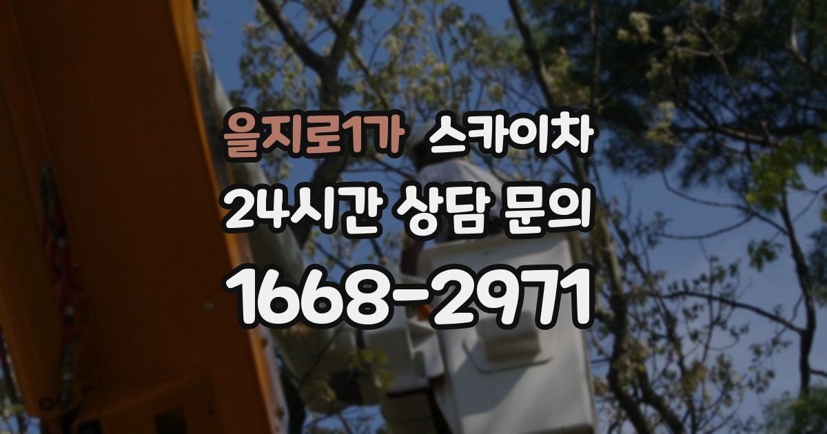 을지로1가 스카이차