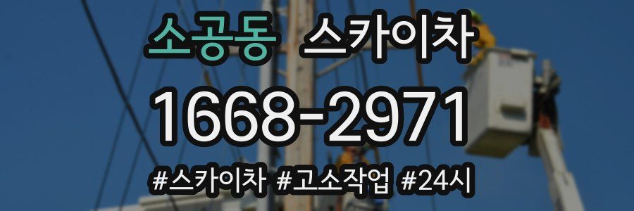 소공동 스카이차