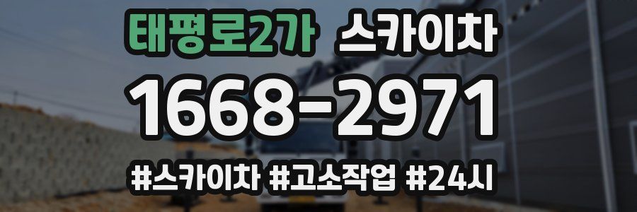 태평로2가 스카이차