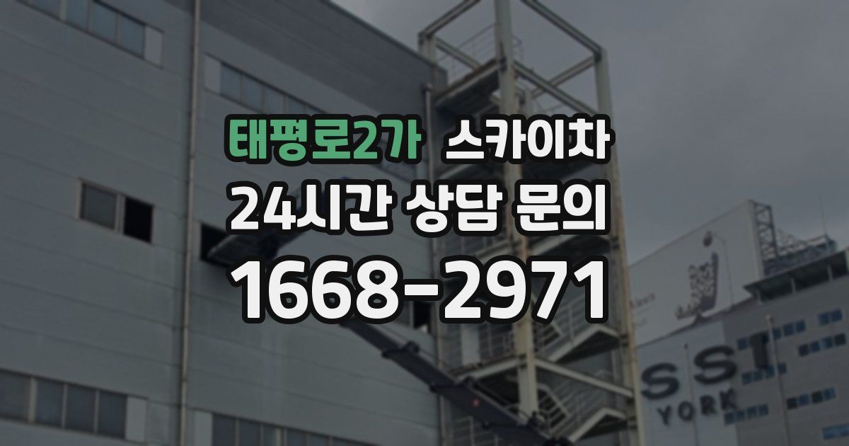 태평로2가 스카이차