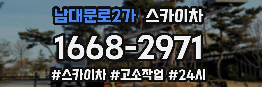 남대문로2가 스카이차