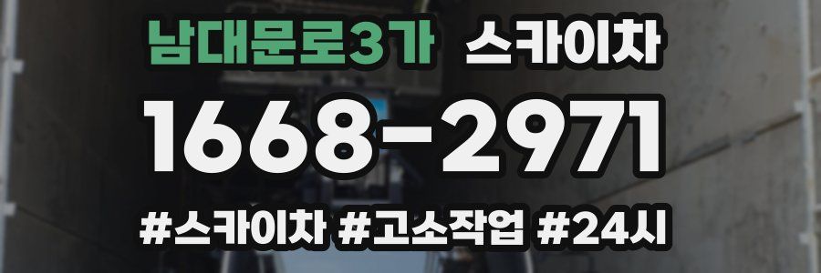 남대문로3가 스카이차
