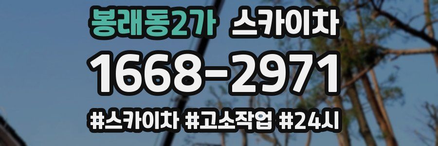 봉래동2가 스카이차