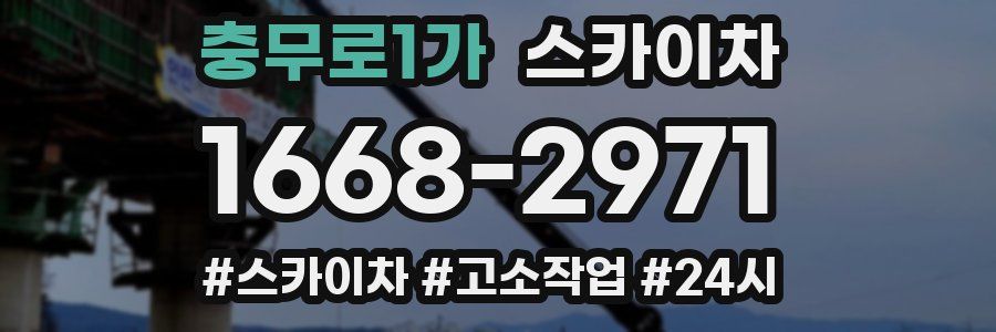충무로1가 스카이차