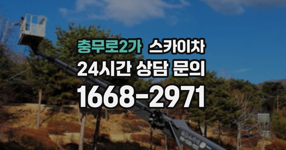 충무로2가 스카이차